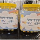 라엘피아노음악학원