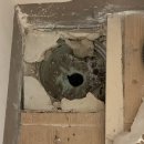 경기도 수원시 권선구 구운중로31번길 23 이미지