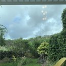 느릅낭집 이미지