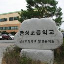 금성초등학교 이미지