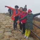 태평목장 이미지