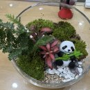 힐링원예 이미지