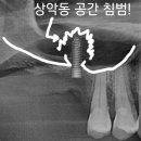 이숲치과의원 이미지