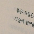 비엔비 Daum카페