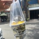 씨씨씨 | 나트랑 씨씨씨커피 솔직 후기｜숙소 돌아오는 길에 먹은 망고 스무디 맛집