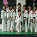 XPL 태권예술단 이미지