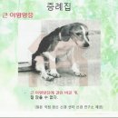 운동요법 이미지