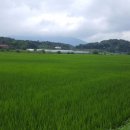 푸른솔 농장 이미지