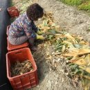 신우농장 이미지