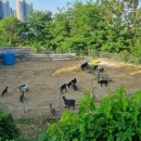 광개토농장 이미지