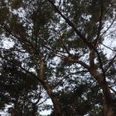 오류3리 이미지