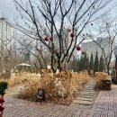 564 | [한국] 별내 근처 감성 이탈리안 맛집 : '스테이 564' 후기