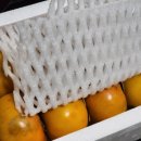 산들해 | 달콤한 단감 추천 오늘도 산들해 단감 주문 후기 단감 후숙 홍시