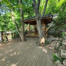 한국불교태고종관음사 | 팔공산 갓바위 코스 등산코스 추천 주차장 소요시간 난이도