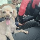 유리아빠 이미지