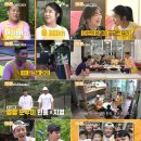 아이나라 이미지