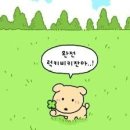 트립올라