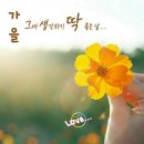 하루 (HAROO) 이미지