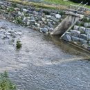 안성 월동천 이미지