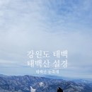 영산사우나 | 강원도 1박2일 여행코스 태백산 겨울 산행 등산 설경 태백산 눈축제