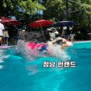 이솔초등학교 | 경기 화성 [정남 펀랜드] 대형견수영장 운동장 내돈내산 후기