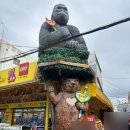 서울족발센타 | [서울 종로구] 창신 완구거리 무리락쿠마 슬랑이/가격비교/옥천매운족발 내돈내산 후기