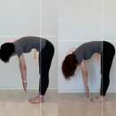 김해바른병원 | 장유 필라테스, 허리통증 개선 위해 병원 대신 메디파인을 선택하신 이유는?