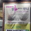 과일오빠&장봐주는 언니 이미지