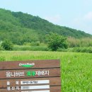 허브한의원 이미지