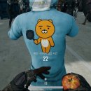 라이언 PC 이미지