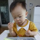 풍진목장 | | 꽃돈탄생 368일 | 다시 초심으로, 돌끝맘, 오늘의 식단