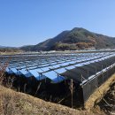 양구상회 - 양구군 장터길 40 | 양구상회