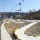 알펜시아 스포츠파크 크로스컨트리 경기장 이미지