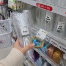 팔팔세탁소 | 초파리 트랩 만들기 다이소 1천원 재료로 날파리 싹 없앤 후기