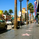 할리우드 이미지