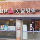 화원연합동물병원 이미지