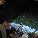 고재낚시터 이미지