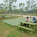 섬진강 향가오토캠핑장 이미지