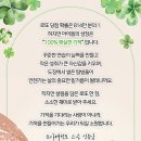조아태권도 네이버블로그