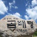 6월24일(수) 천상의 화원 곰배령(취소) 이미지