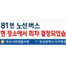 81번 노선버스 이미지