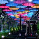 청도레일바이크 이미지