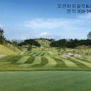 (주)골드오션 네이버블로그