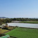 상모리-31 이미지