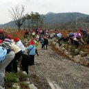 재일산림
