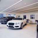 레드불 모터스 이미지