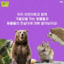 아람마트 이미지
