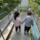 수향농장 이미지