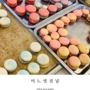 타르트데이