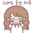 보드랍개 이미지